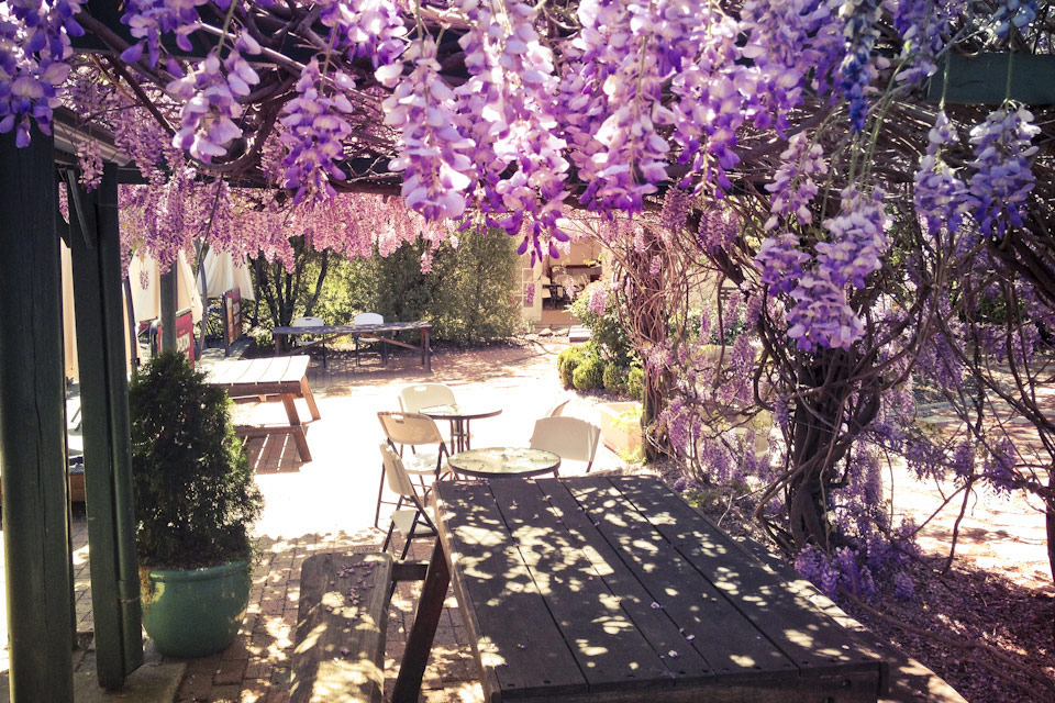Rose Cottage, Canberra